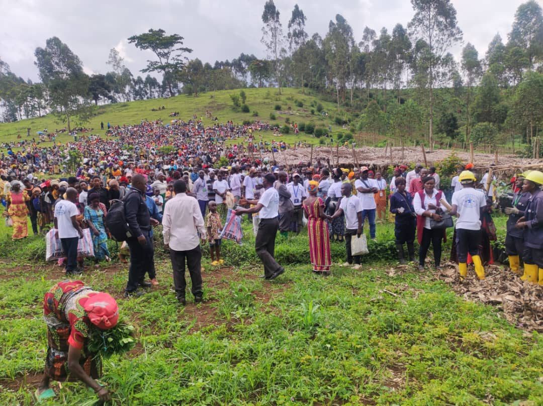 People planting seedlings on a hillside with a crowd behind them